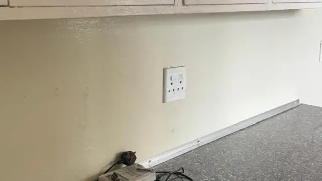 Flat/Apartment to Rent