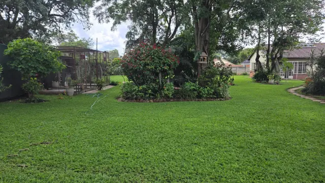 Residential Stand for Sale