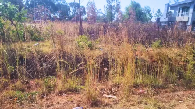 Residential Stand for Sale