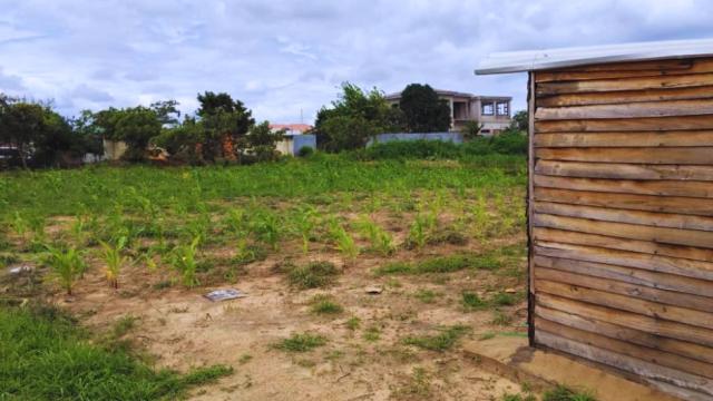 Stand for Sale in Ruwa