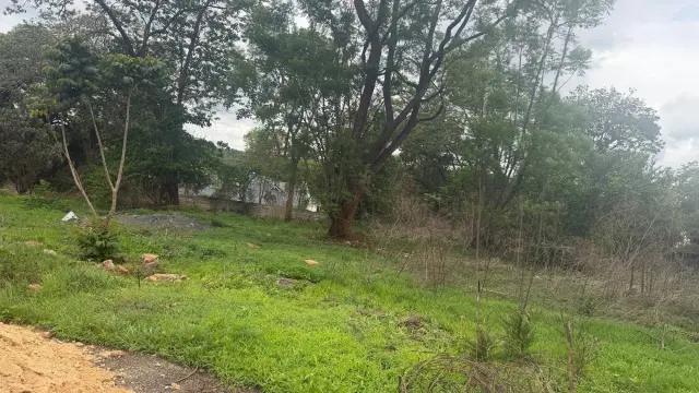 Residential Stand for Sale