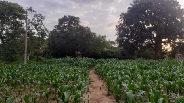 Residential Stand for Sale