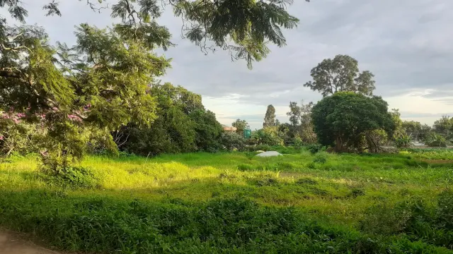 Residential Stand for Sale