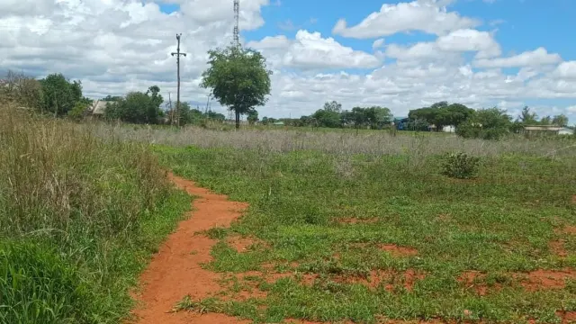 Commercial Stand for Sale