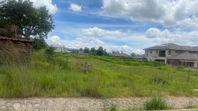 Stand for Sale in Arlington