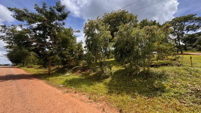 Stand for Sale in Shawasha Hills