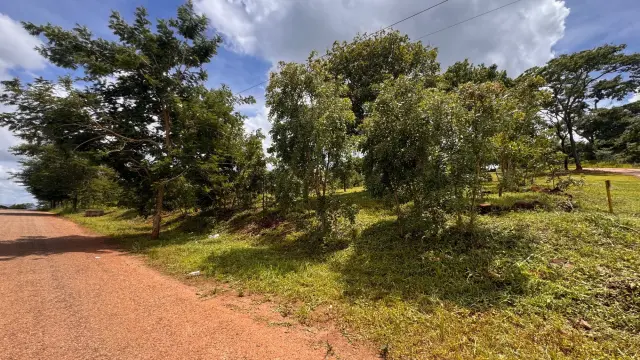 Residential Stand for Sale