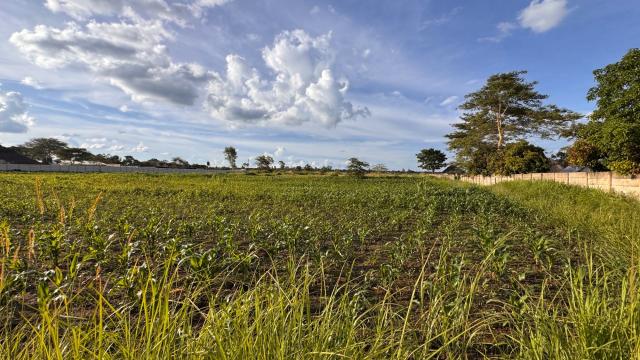 Stand for Sale in Norton