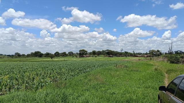 Stand for Sale in Westgate