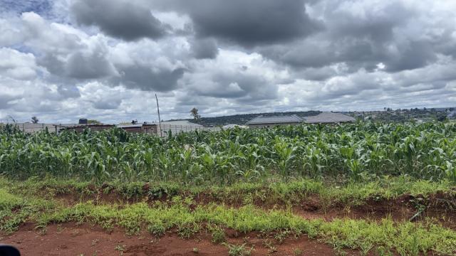 Stand for Sale in Crowhill Views