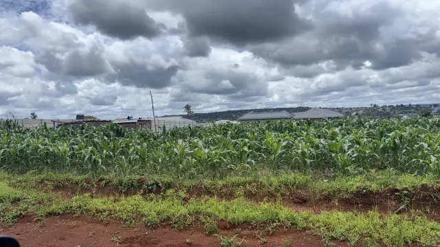 Residential Stand for Sale