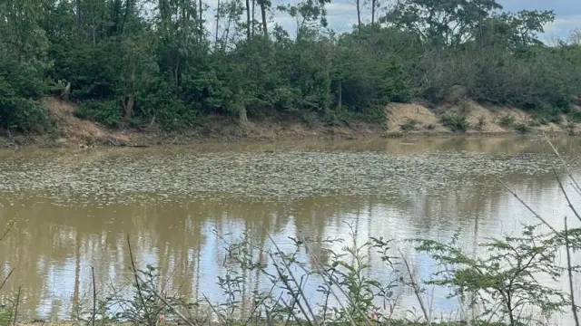 Farm/Plot for Sale inGumtree