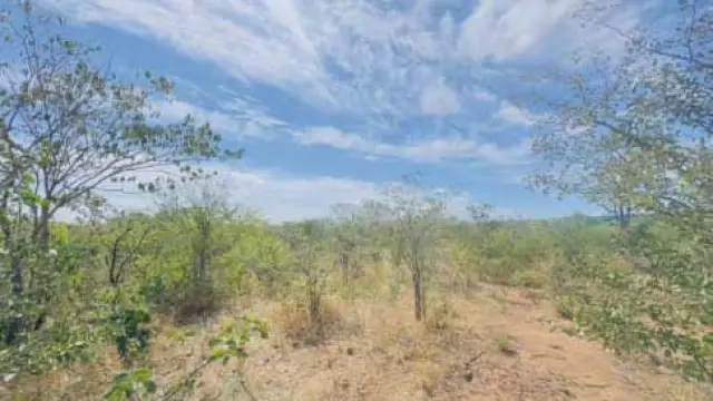 Commercial Stand for Sale