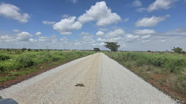 Stand for Sale in Norton