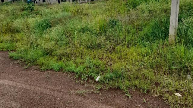 Stand for Sale in Rainham