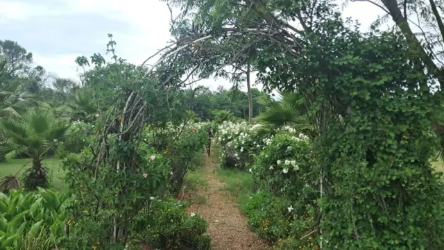 Commercial Stand to Rent