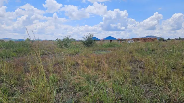 Residential Stand for Sale