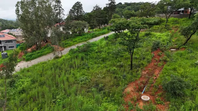 Residential Stand for Sale