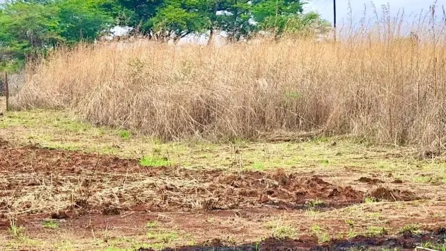 Residential Stand for Sale