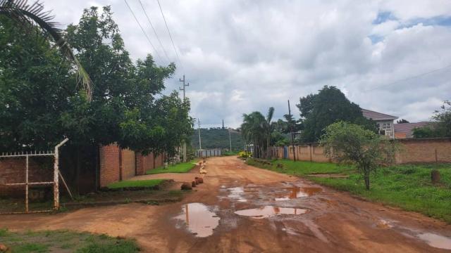 Stand for Sale in Belvedere