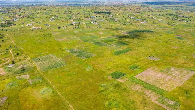 Residential Stand for Sale