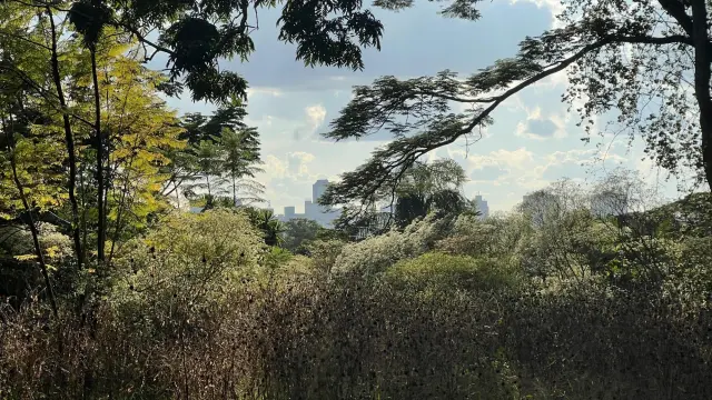 Residential Stand for Sale