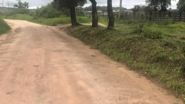 Commercial Stand for Sale