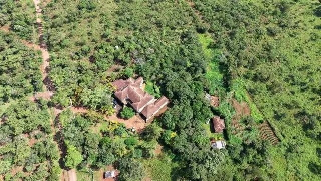 Residential Stand for Sale