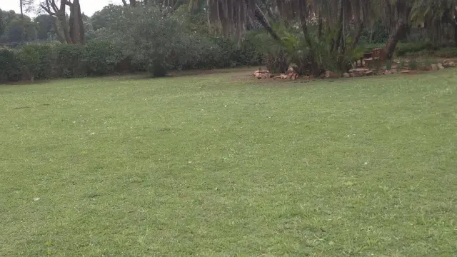 House to Rent in Helensvale