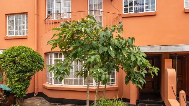 Flat/Apartment to Rent in Avenues