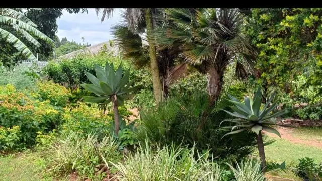 3 Bedroom House to Rent in Greendale North