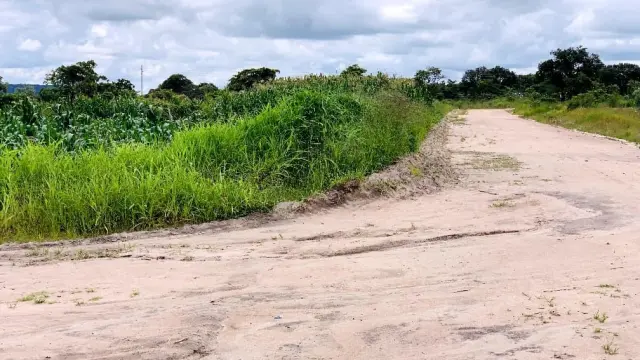 Residential Stand for Sale