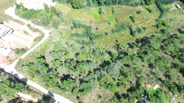 Stand for Sale in Carrick Creagh Estate