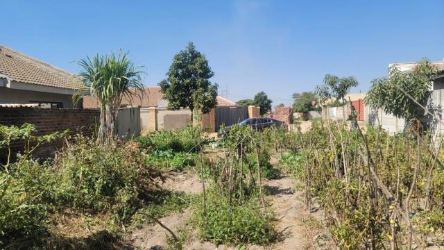 Stand for Sale in Granary Park