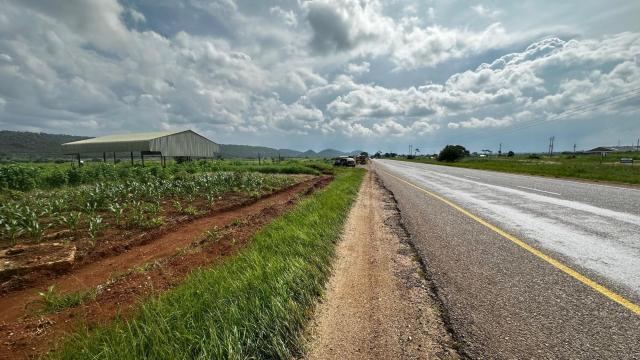 Stand for Sale in Lake Chivero