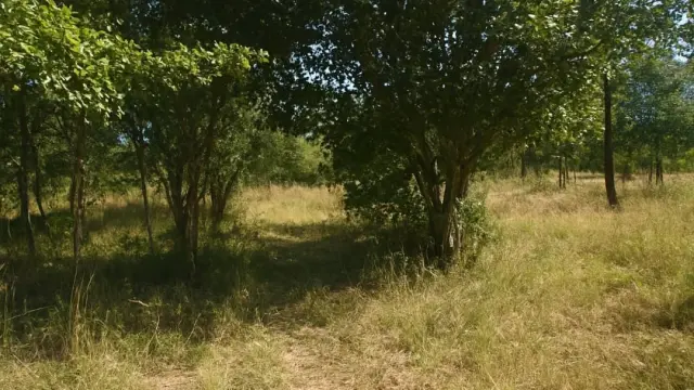 Residential Stand for Sale