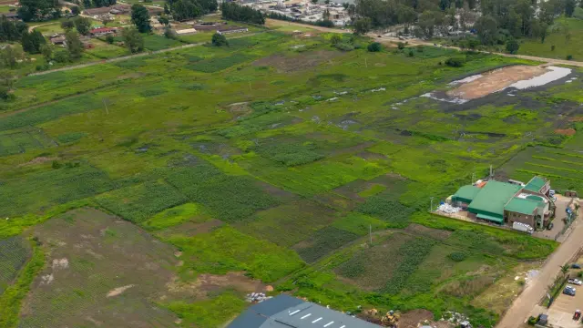 Commercial Stand for Sale