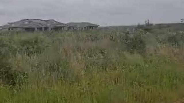 Stand for Sale in Adelaide Park