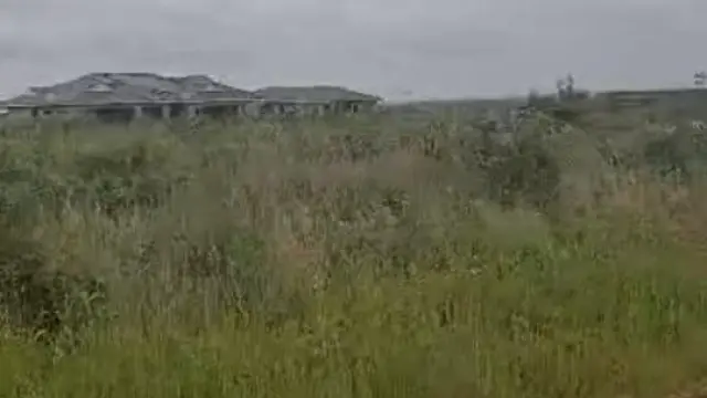 Commercial Stand for Sale