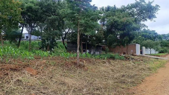 Residential Stand for Sale