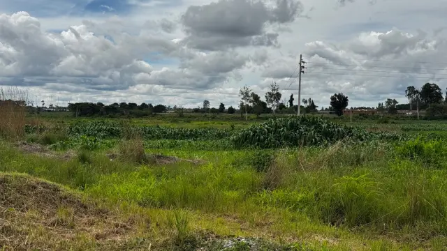 Industrial Stand for Sale