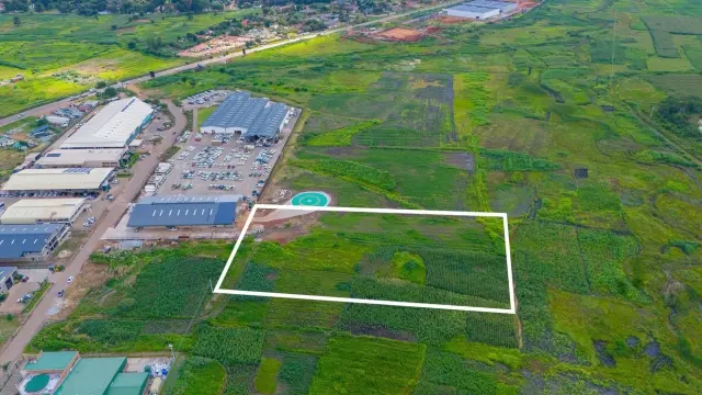 Industrial Stand for Sale