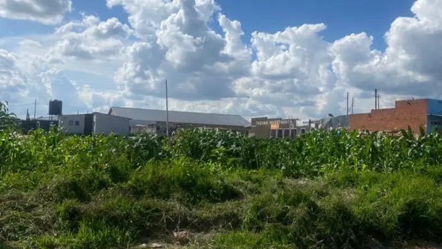 Commercial Stand for Sale