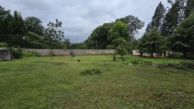 Residential Stand for Sale