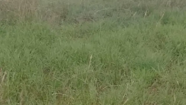 Residential Stand for Sale