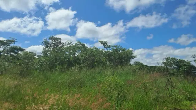 Residential Stand for Sale