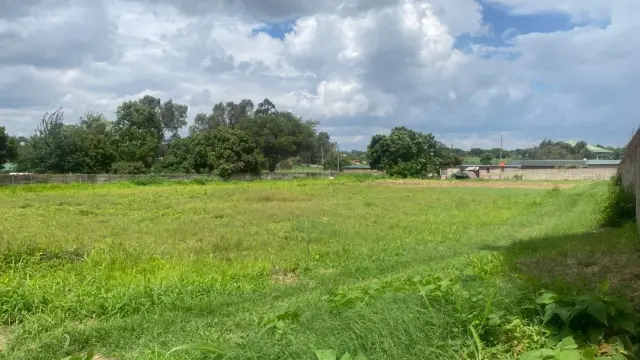 Residential Stand for Sale