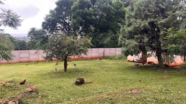 Residential Stand for Sale