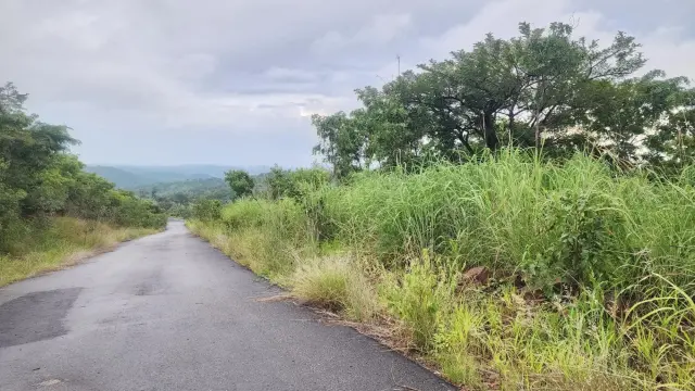 Other Commercial for Sale