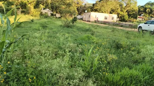 Residential Stand for Sale